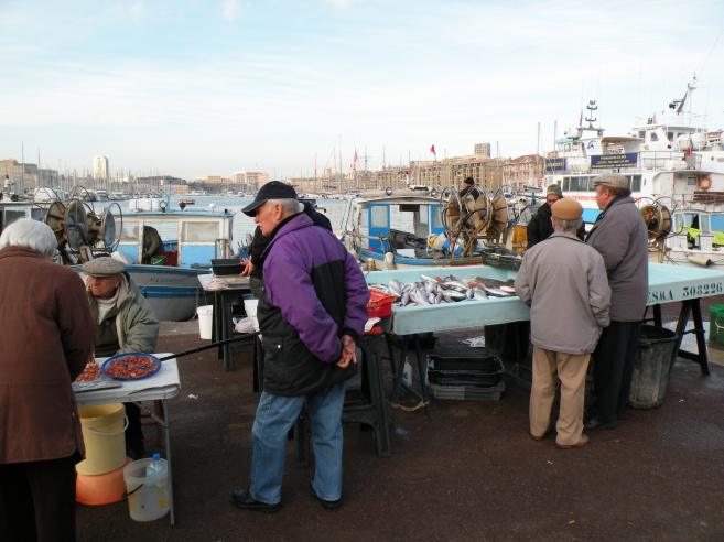  vente de poissons